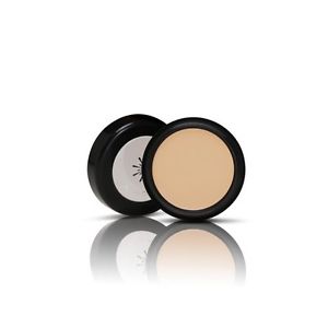 Missha The Style Perfect Concealer 3g 