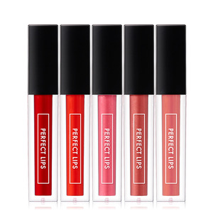 TONYMOLY Perfect Lips Rouge Gloss 4.5g